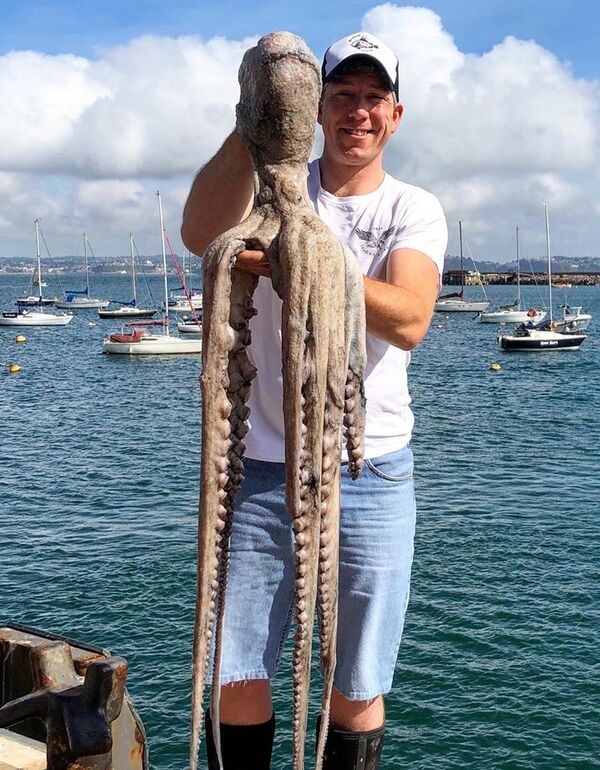 漁民捕獲罕見巨型章魚 - 俄羅斯衛星通訊社