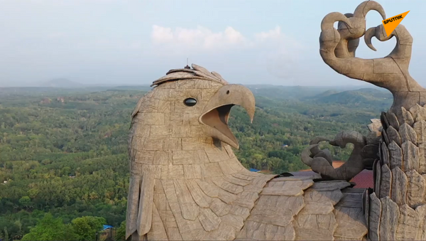 世界上最大的鳥類雕像航拍 - 俄羅斯衛星通訊社