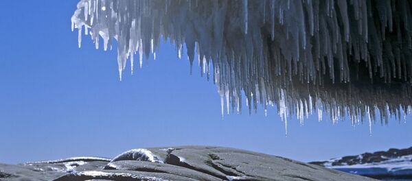 南極 - 俄羅斯衛星通訊社