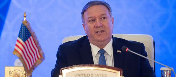 美國突然關注香港：原因何在？ - 俄羅斯衛星通訊社