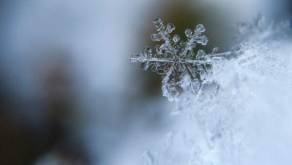 气象学家：盼雪莫斯科市民只能期待奇迹发生 - 俄罗斯卫星通讯社