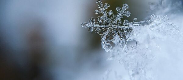 气象学家：盼雪莫斯科市民只能期待奇迹发生 - 俄罗斯卫星通讯社