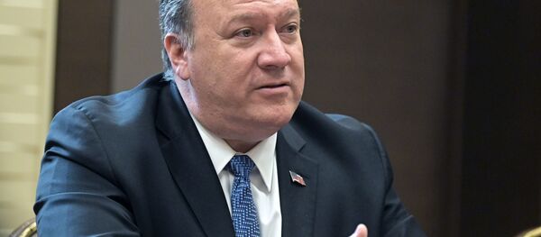 蓬佩奥 - 俄罗斯卫星通讯社