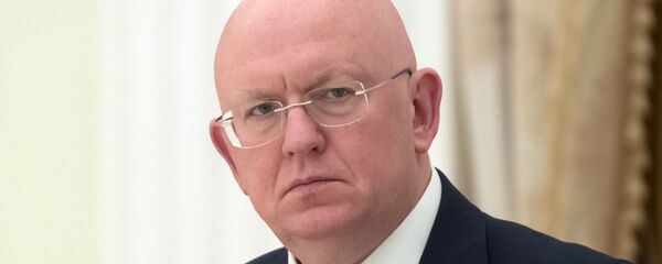 俄常驻联合国代表：俄罗斯和叙利亚没有在叙对平民进行打击 - 俄罗斯卫星通讯社