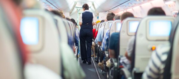 空姐 - 俄羅斯衛星通訊社