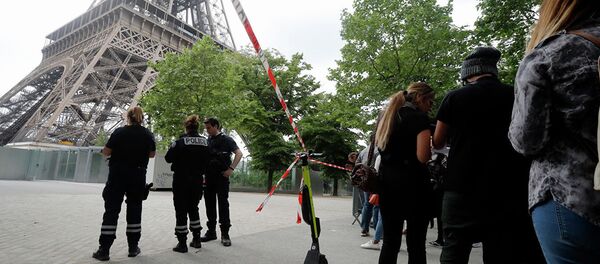 攀爬埃菲爾鐵塔的男子系有自殺傾向的俄羅斯人 - 俄羅斯衛星通訊社