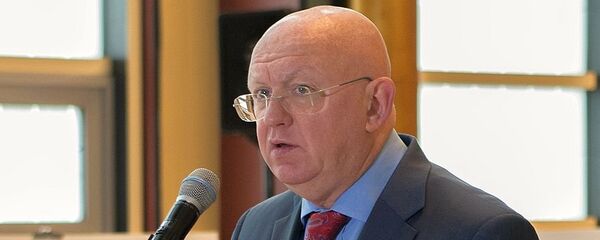 瓦西里∙涅边贾 - 俄罗斯卫星通讯社