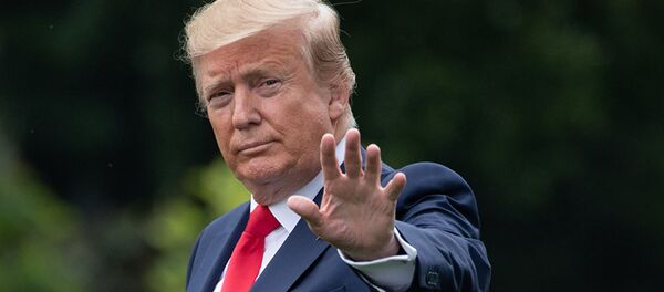 美国总统不排除对伊朗发动军事行动的可能 - 俄罗斯卫星通讯社