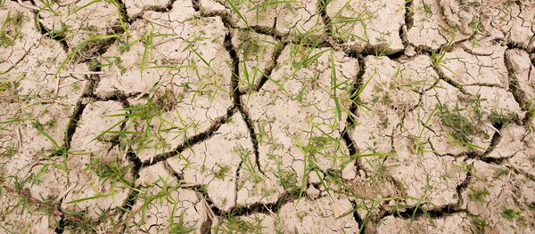 歐洲高溫影響核電站運行 - 俄羅斯衛星通訊社