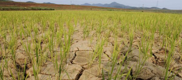 俄外交部：俄羅斯在朝鮮乾旱背景下將繼續為其提供人道主義援助 - 俄羅斯衛星通訊社