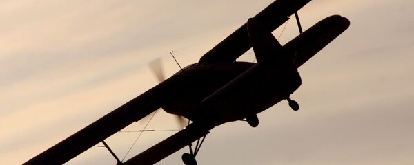 Самолет Ан-2.  - 俄罗斯卫星通讯社