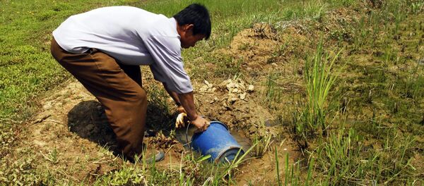 朝鲜饥荒：核武野心还是不加选择的制裁？ - 俄罗斯卫星通讯社