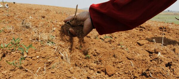 朝鲜最近4年来的严重旱灾正造成新的灾难 - 俄罗斯卫星通讯社