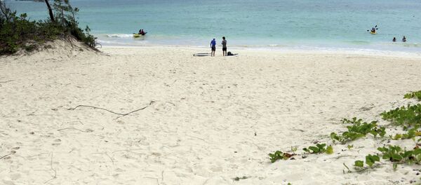 凯路亚海滩 - 俄罗斯卫星通讯社