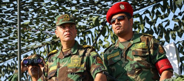 俄埃首次防空演習友誼之箭-2019在埃及舉行 - 俄羅斯衛星通訊社