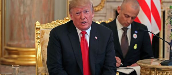 美国总统唐纳德·特朗普 美国总统唐纳德·特朗普 - 俄罗斯卫星通讯社