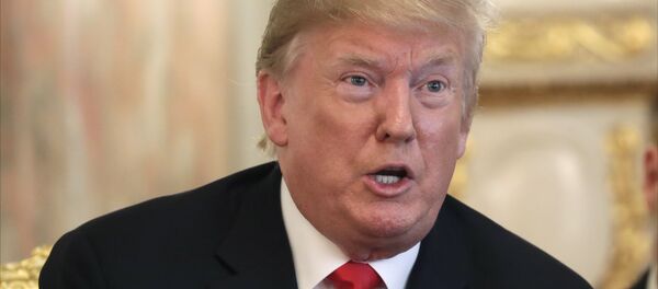 特朗普 - 俄罗斯卫星通讯社