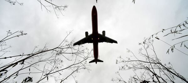 阿根廷全國機場29日因罷工取消全部航班 - 俄羅斯衛星通訊社