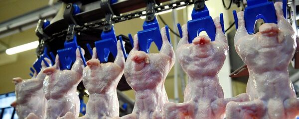 雞肉 雞肉 - 俄羅斯衛星通訊社