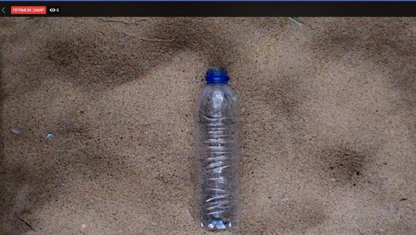 世界自然基金会开通450年网络直播 展示塑料瓶分解过程 - 俄罗斯卫星通讯社