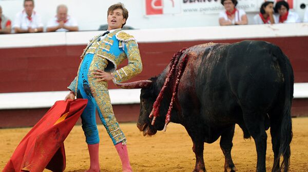 French matador Juan Leal - 俄羅斯衛星通訊社
