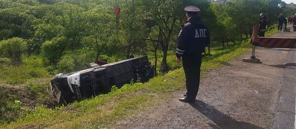 俄滨海边疆区大巴侧翻事故的中国游客已返回中国 - 俄罗斯卫星通讯社