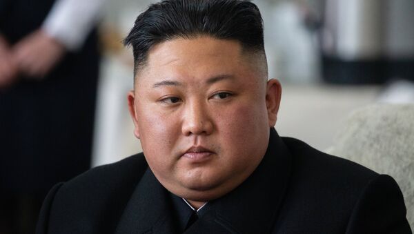 Лидер КНДР Ким Чен Ын прибыл в Россию - 俄羅斯衛星通訊社