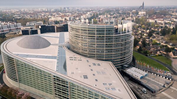 欧洲议会 - 俄罗斯卫星通讯社