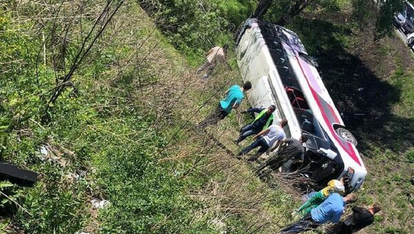 遭遇车祸的中国游客已被安置在俄远东一酒店 - 俄罗斯卫星通讯社