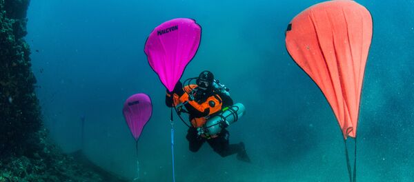 清理希腊半岛海底鬼网 - 俄罗斯卫星通讯社