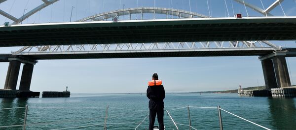 俄杜馬介紹烏克蘭艦船通行刻赤海峽條件 - 俄羅斯衛星通訊社