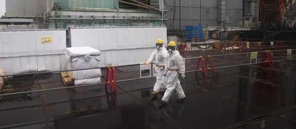 媒体：日本正考虑将福岛核电站放射性污水排入大海 - 俄罗斯卫星通讯社