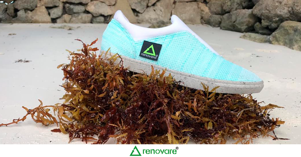 墨西哥用海藻鞋和回收塑料做鞋 墨西哥用海藻鞋和回收塑料做鞋 - 俄罗斯卫星通讯社