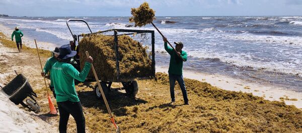 墨西哥用海藻鞋和回收塑料做鞋 墨西哥用海藻鞋和回收塑料做鞋 - 俄罗斯卫星通讯社