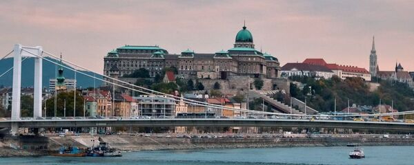 媒体：一大批移民要求从塞尔维亚进入匈牙利 - 俄罗斯卫星通讯社