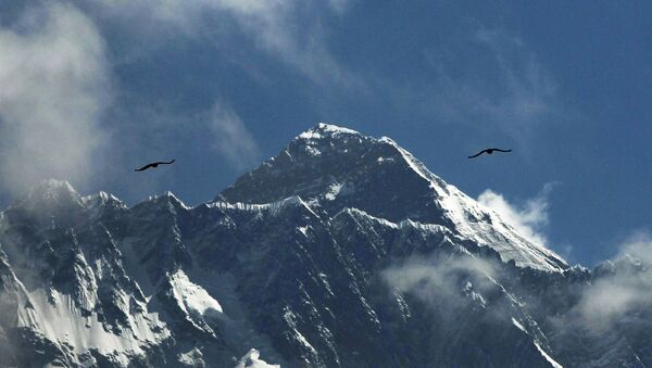 Птицы над горой Эверест  - 俄罗斯卫星通讯社