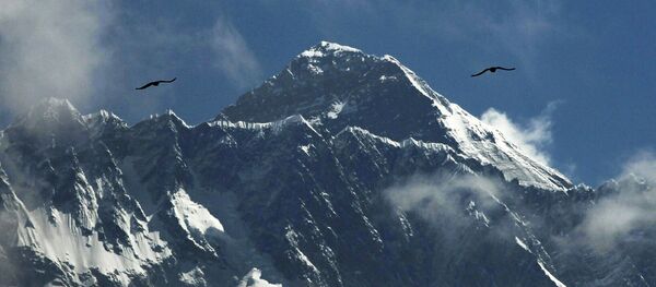 Птицы над горой Эверест  - 俄羅斯衛星通訊社