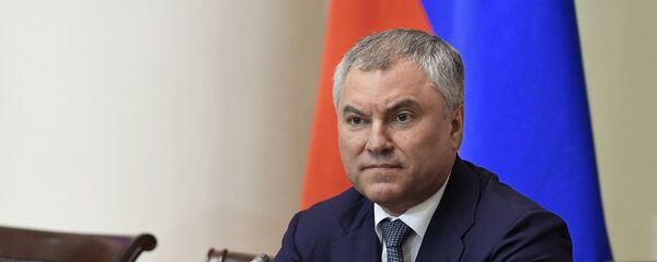 Председатель Государственной Думы РФ Вячеслав Володин во время встречи президента РФ Владимира Путина с членами Совета законодателей в Таврическом дворце Санкт-Петербурга - 俄罗斯卫星通讯社