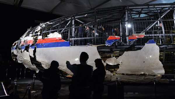 Доклад Совета безопасности Нидерландов по причинам крушения Boeing 777 - 俄罗斯卫星通讯社