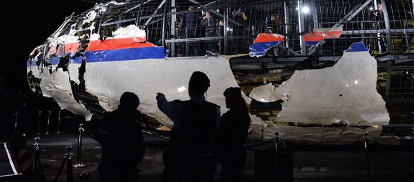 社交媒體的舊資料被用作調查MH17空難的證據 - 俄羅斯衛星通訊社