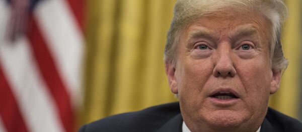 专家：特朗普谎称美国有核动力装置导弹 - 俄罗斯卫星通讯社