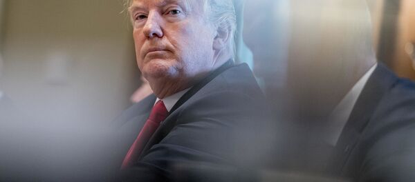 特朗普：美英可在英國脫歐後達成貿易協議 - 俄羅斯衛星通訊社