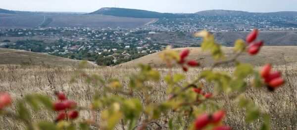 芬兰禁止销售和进口野生玫瑰 - 俄罗斯卫星通讯社