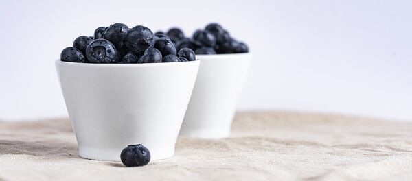 Чашка черники Чашка черники - 俄羅斯衛星通訊社