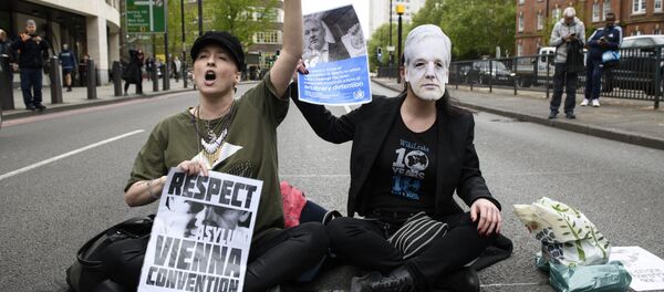 维基解密网站：今日支持阿桑奇的抗议活动将在一系列国家的大城市举行 - 俄罗斯卫星通讯社