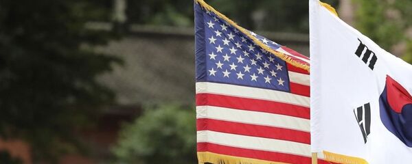 美国和韩国的旗帜 - 俄罗斯卫星通讯社