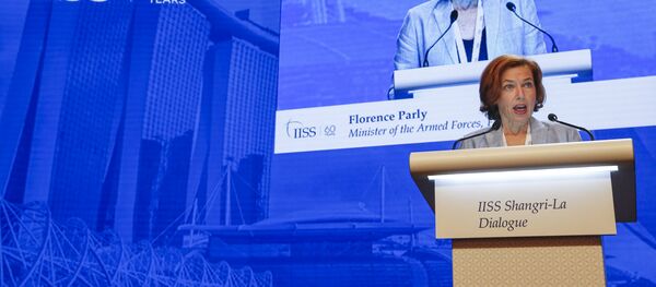 法國在印太地區越來越深地捲入美國的遏制中國政策 - 俄羅斯衛星通訊社