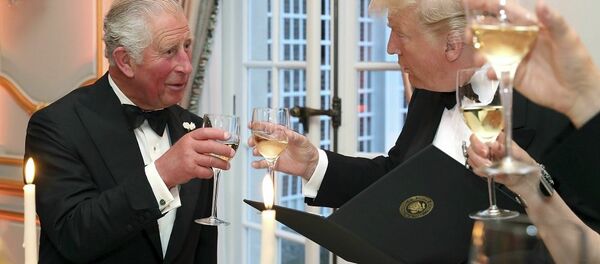 特朗普在伦敦宴请查尔斯王子 - 俄罗斯卫星通讯社