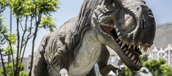 德黑兰的昆虫公园和侏罗纪公园 - 俄罗斯卫星通讯社