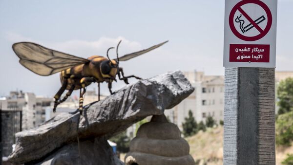 Парк насекомых и Парк юрского периода в Тегеране - 俄罗斯卫星通讯社
